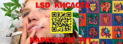 сатива Будённовск