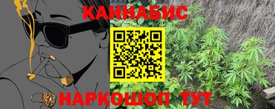 сатива Будённовск