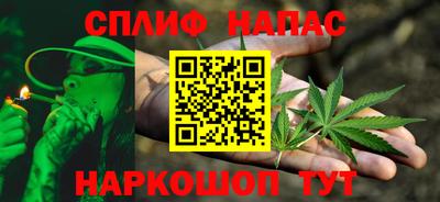 сатива Будённовск