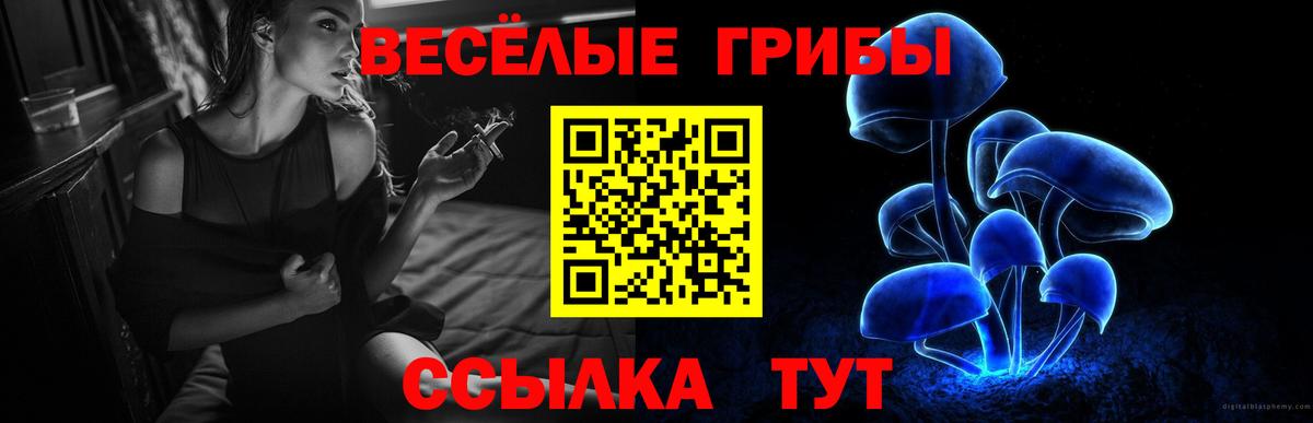 Тюмень  Псилоцибиновые грибы прущие грибы  Вход с VPN 